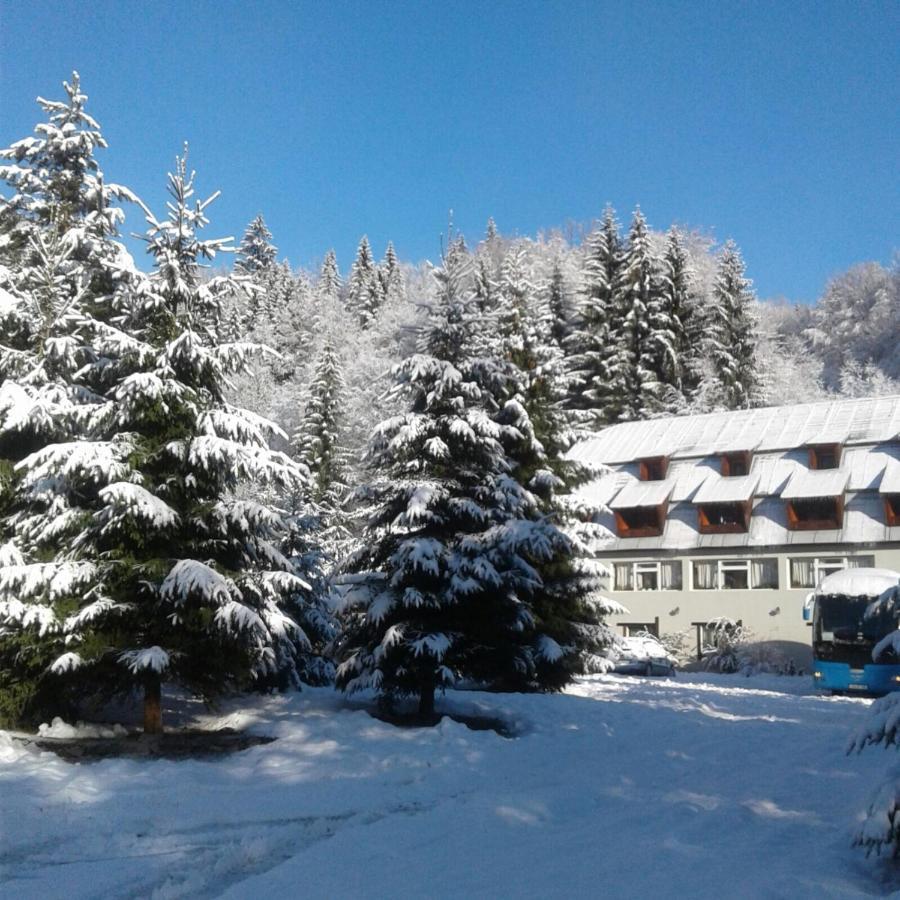 Complexul Turistic Cheile Butii Hotel Cimpu lui Neag Luaran gambar